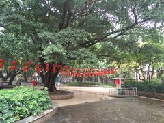 -垂虹公园