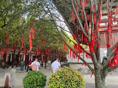 -西安青龙寺遗址景区