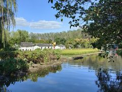 -溱湖国家湿地公园