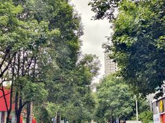 -黔府豆米火锅野菜馆(南马店)