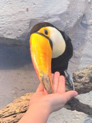 -Zoolung Zoolung动物主题公园(海信广场店)