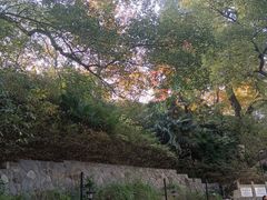 -白沙古井