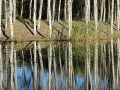 -东郊湿地公园