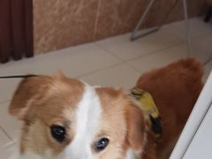 -美联众合24小时·皮肤科·外科·全科诊疗中心(华苑分院)