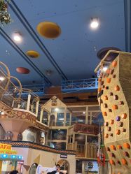 -卡通尼·Safari非洲探索乐园·生日会(金桥国际商业广场店)