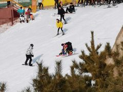 -采薇庄园四季滑雪场