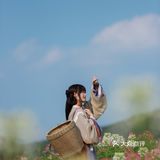 江浙沪的小京都｜无锡灵山小镇拈花湾梵天花海拍照功略