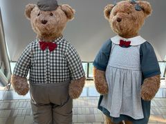 -济州岛泰迪熊博物馆