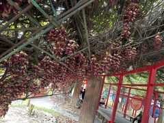 -牛鱼嘴原始生态风景区
