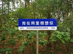-同里国家湿地公园