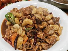 -丁老爷子苏香圆
