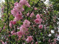 -贵阳市花溪国家城市湿地公园