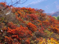 -水峪民俗村
