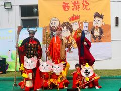 -海联小龙鱼幼儿园