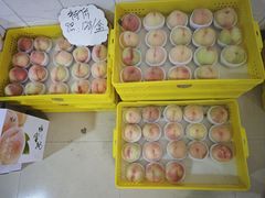 -老袁家蜜桃农场·阳山水蜜桃