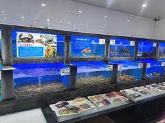 -小海丁