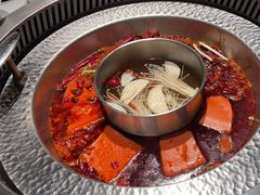 -晓宇重庆火锅(赛格国际购物中心店)