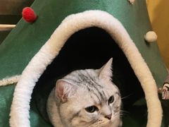 -H立方实景剧情密室(天河旗舰店)