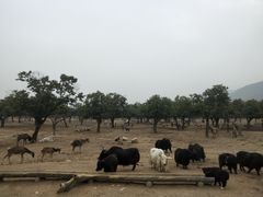 -西安秦岭野生动物园