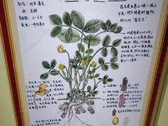 -上海昆虫博物馆