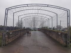 -崇阳三特浪口温泉