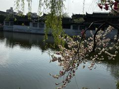 -水绘园
