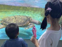 -常州海昌海洋探索馆
