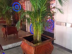 android_upload_pic-乐圣量贩KTV自助餐(崇文店)