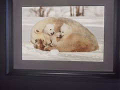 -罗红摄影艺术馆