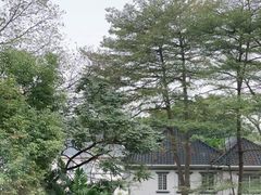 -枫盈轩中餐厅(枫丹白鹭酒店)