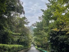 -幕燕滨江·长江观音景区