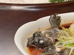 -望乡楼上海菜(日月光店)