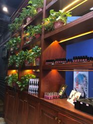 -东晨宝格丽品质造型