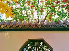 -长白岛森林公园