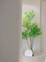 -VE专注问题肌·赛诺龙&科学美肤中心