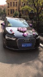 点击看大图 -蚂蚁婚车