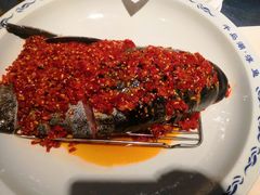 -森谷美食公园(杨行店)
