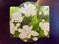 茉莉花-乐纯(苹果社区店)