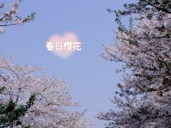 -上海辰山植物园