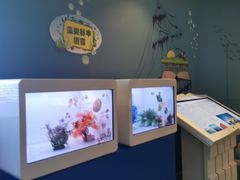 -烟台海昌鲸鲨海洋公园