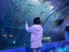 -重庆欢乐海底世界