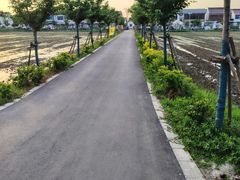 -嘉定紫藤园