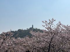 -苏州上方山国家森林公园