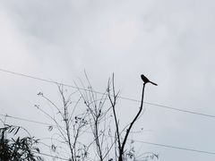 -南通博物苑-崇川人民公园