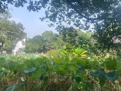 -丝绸小镇荻港古村