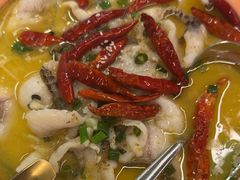 -Aqua Oasis 水天堂(常熟永旺店)