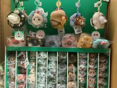 -猫的天空之城概念书店(苏州诚品店)