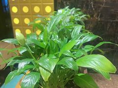 -康悦足疗(长安锦绣店)