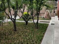 -北京第二实验小学