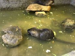 -青青世界